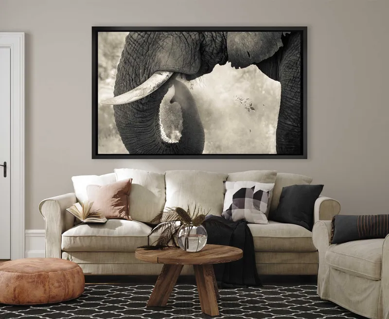 Trunk and Dust - Image 8