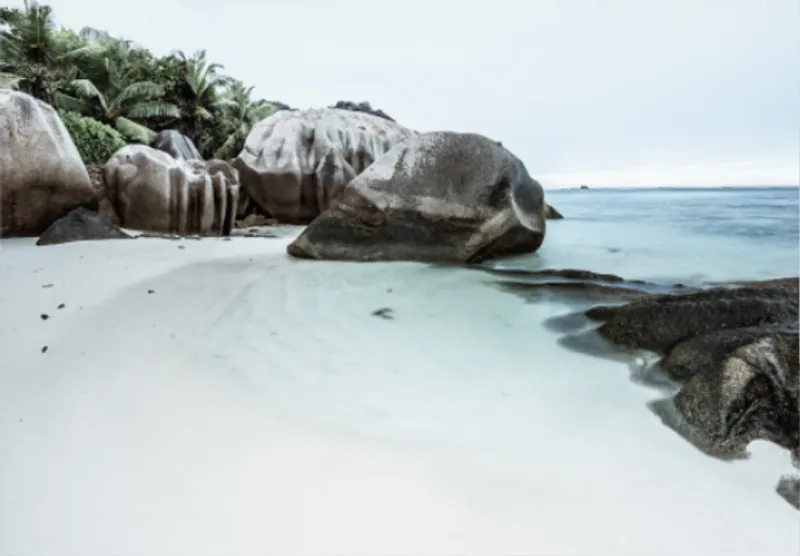 Silk shores (limited edition) - Image 2