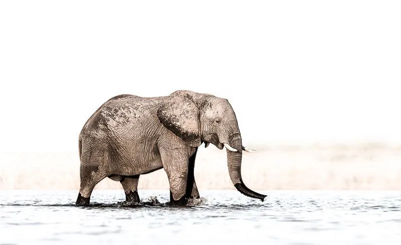 The Crossing - Image 2