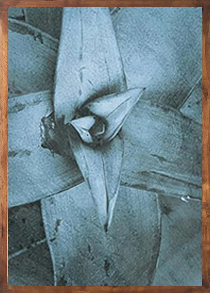 Blue aloes set - Image 3