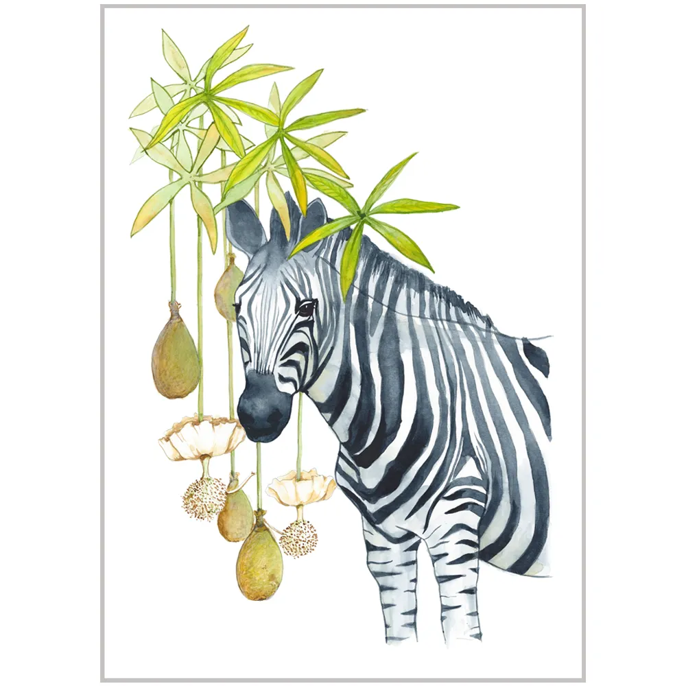 Zebra with baobab