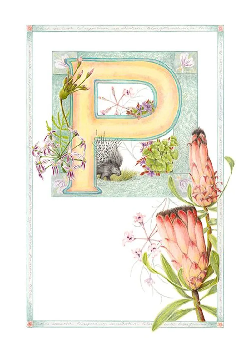 Fynbos Friends - Image 17