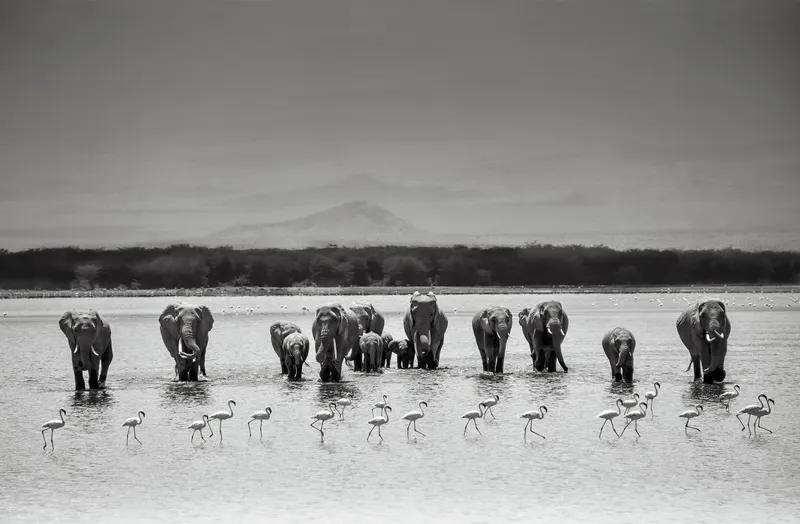 Opening Act - Image 2