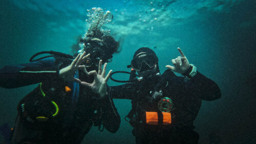 Diving Into the Underwater World: Cape Town Edition