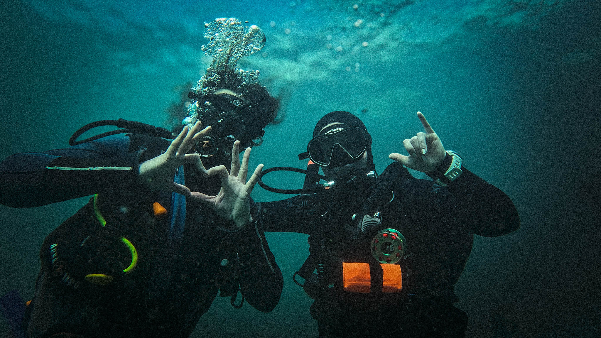 Diving Into the Underwater World: Cape Town Edition